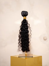 Raw Burmese Curly