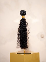 Raw Burmese Curly