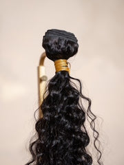 Raw Burmese Curly