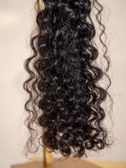 Raw Burmese Curly